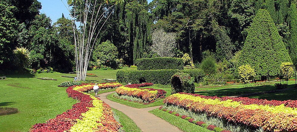 Peradeniya Botanical Garden