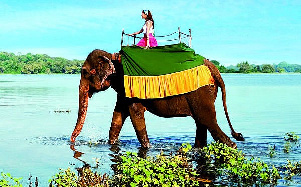 Discover Sri Lanka