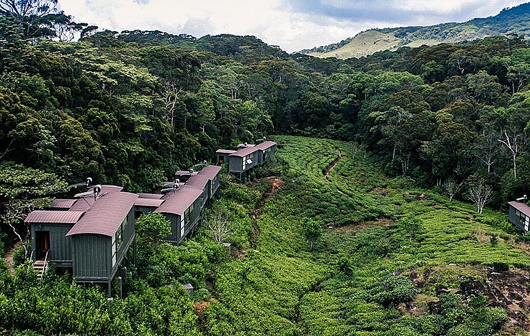 Rainforest Eco Lodge