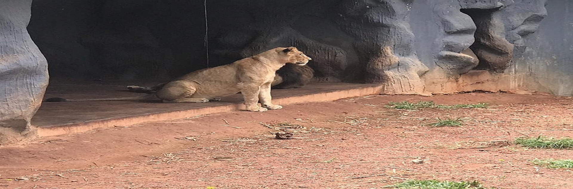 Dehiwala Zoo