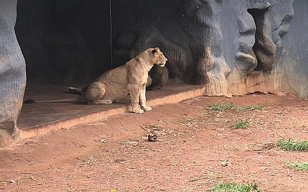 Dehiwala Zoo