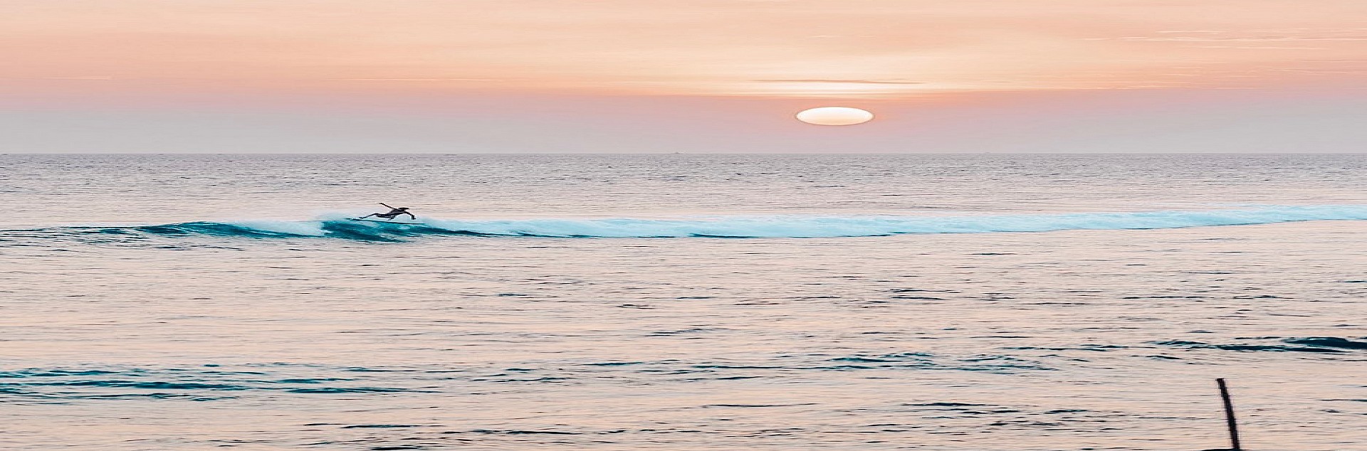 Weligama